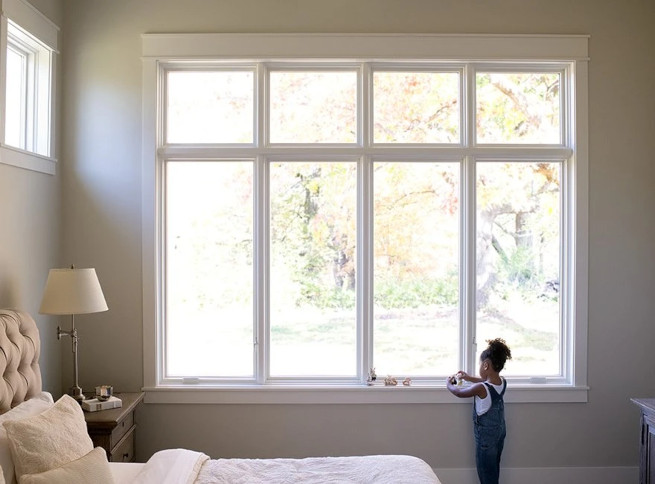 Carson City Pella Windows by Material